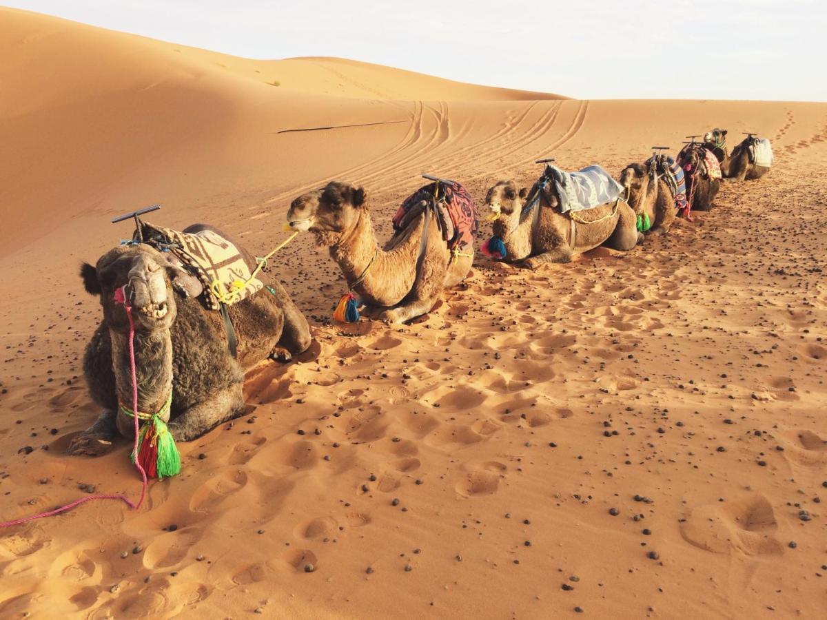 Sahara Stories Camp " Heated Tents" Мерзуга Экстерьер фото